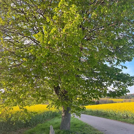 Im Gruenen -garden Apartment