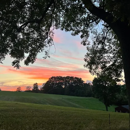 Im Gruenen -garden Apartment Chemnitz