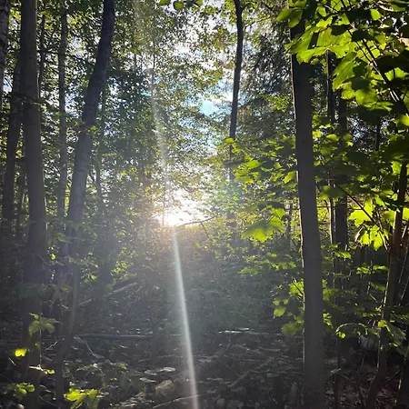 Im Gruenen -garden Apartment