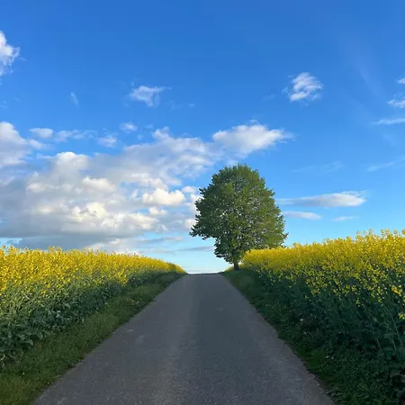 Im Gruenen -garden *