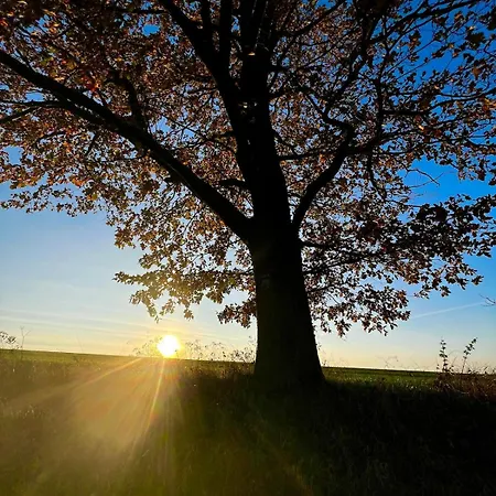 Apartment Im Gruenen -garden *