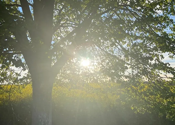 Apartment Im Gruenen -garden Chemnitz