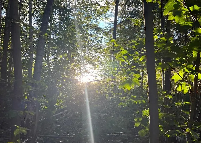 Im Gruenen -garden Apartment