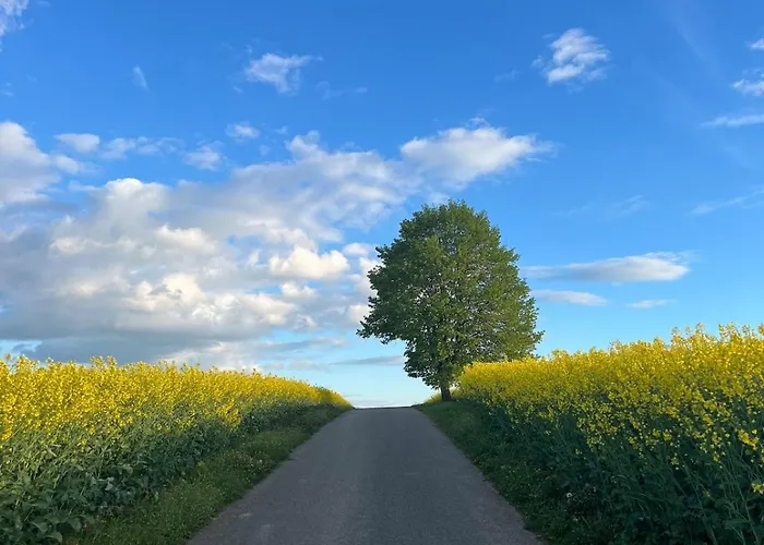 Im Gruenen -garden *